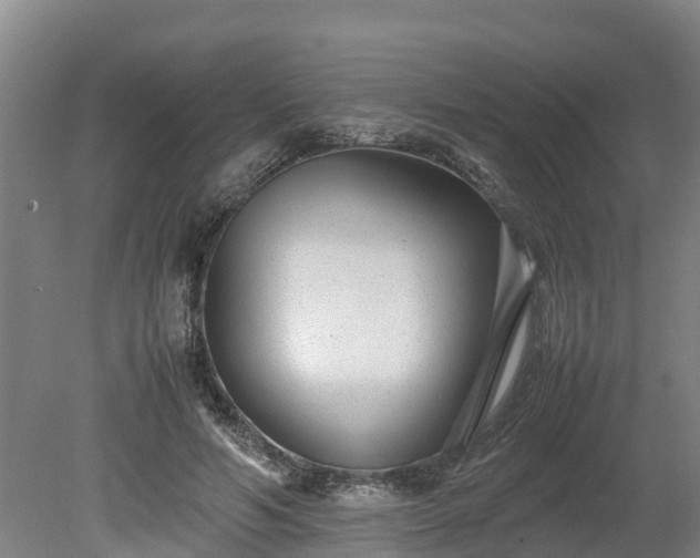 X0000080120594200612151715
