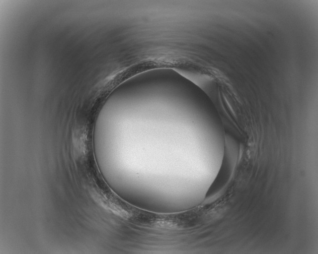 X0000080120596200612151714