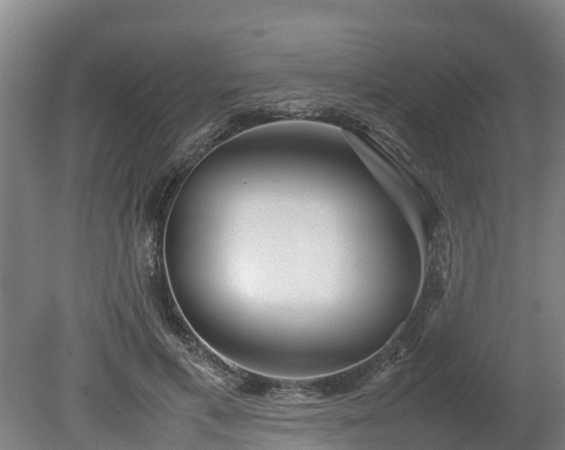 X0000080120597200612151714