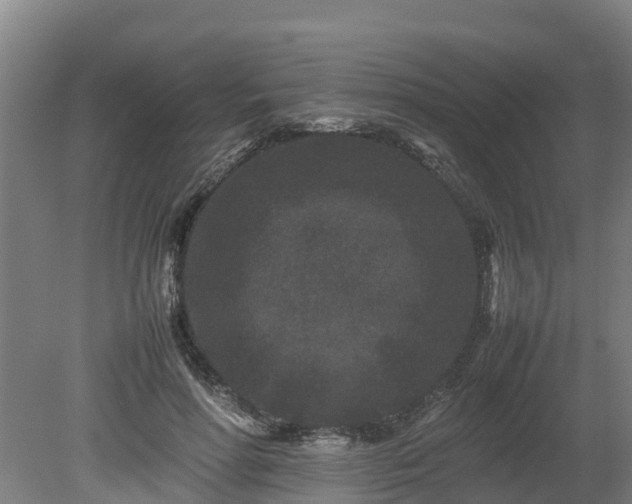 X0000080120598200612151714