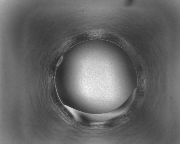 X0000080120601200612151714