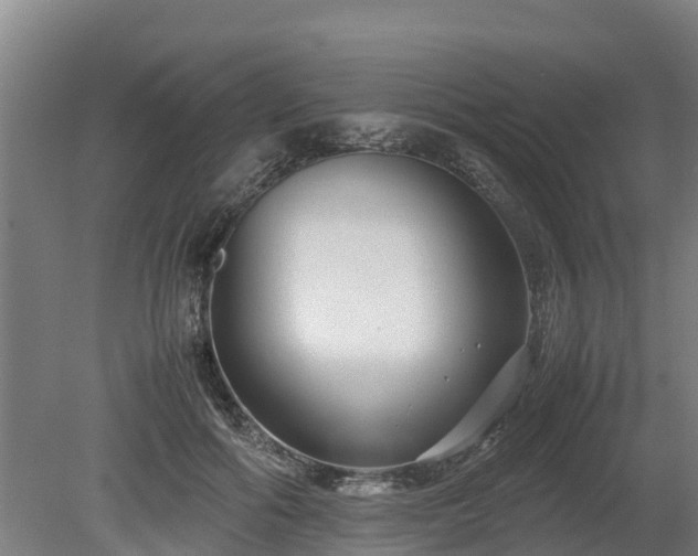 X0000080120602200612151714