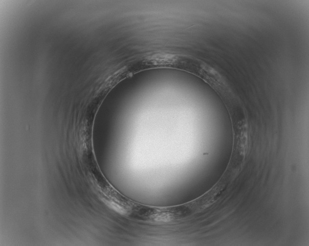 X0000080120604200612151714