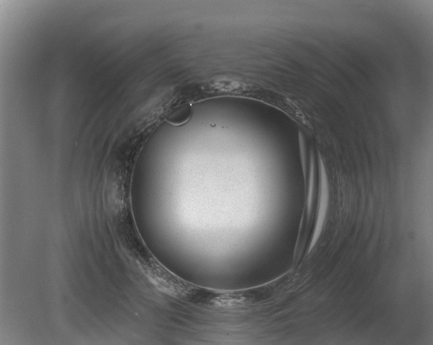 X0000080120606200612151714