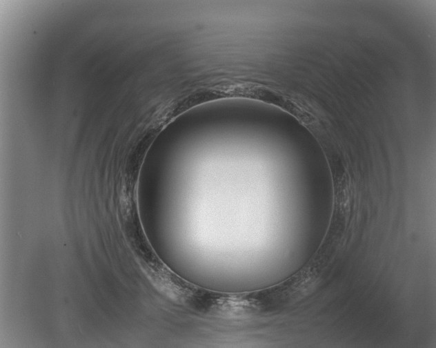 X0000080120607200612151714