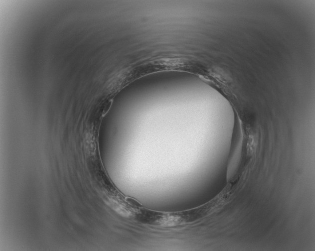X0000080120609200612151714