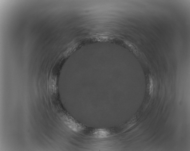 X0000080120610200612151714