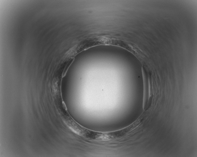 X0000080120611200612151714