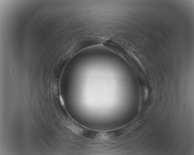 X0000080120613200612151714