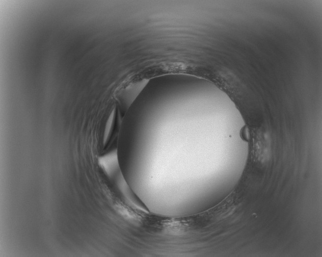 X0000080120616200612151714