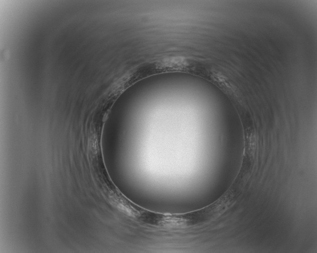 X0000080120617200612151714