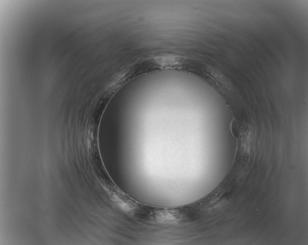 X0000080120618200612151714