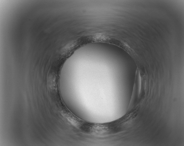 X0000080120619200612151714