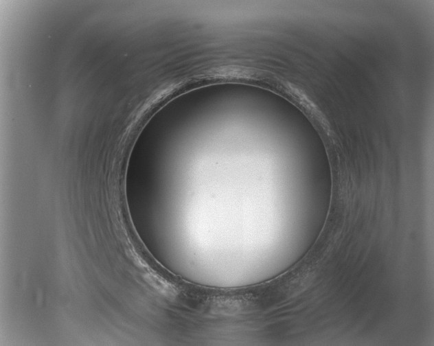 X0000080120625200612151713