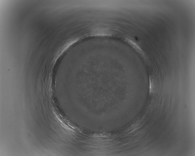 X0000080120627200612151713