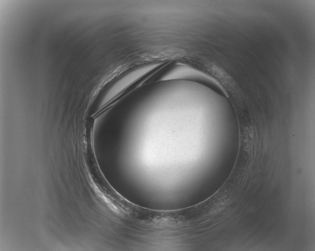 X0000080120634200612151713