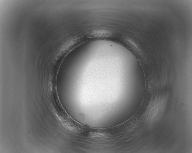 X0000080120635200612151713