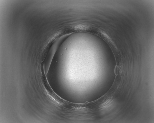 X0000080120637200612151713