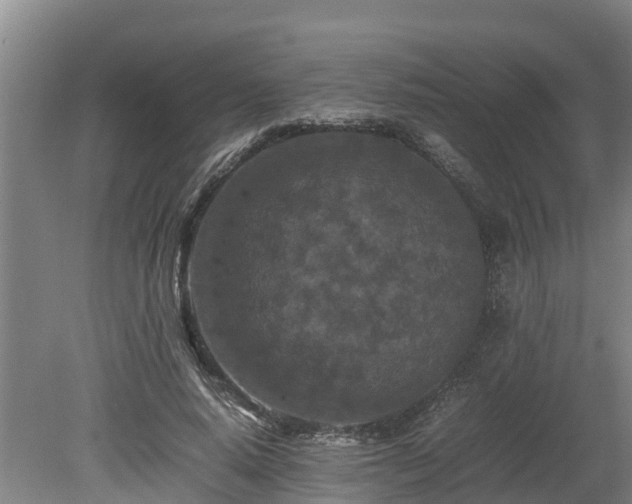 X0000080120640200612151713