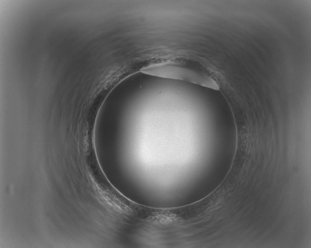 X0000080120642200612151713