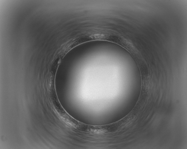 X0000080120645200612151714