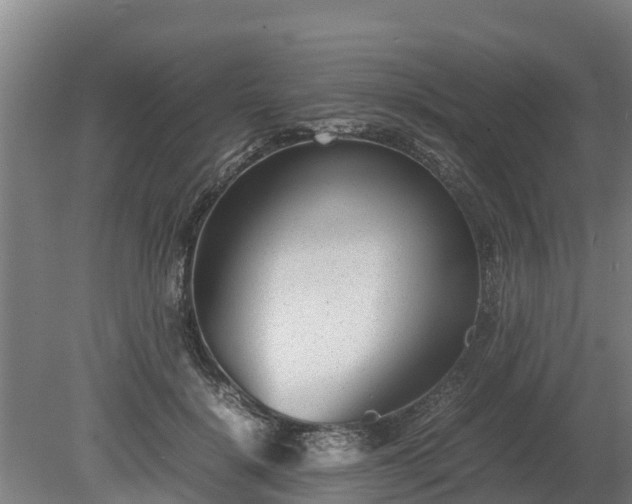 X0000080120652200612151714