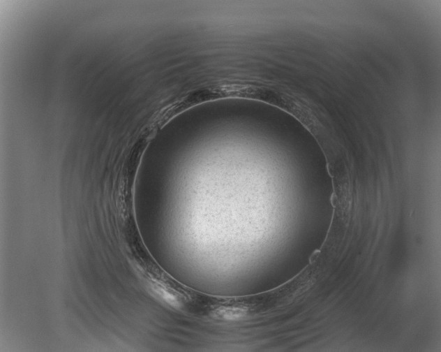 X0000080120653200612151714
