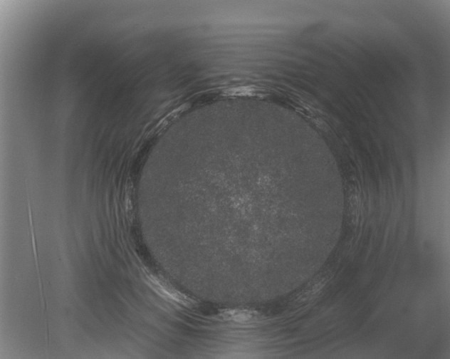 X0000080120654200612151714