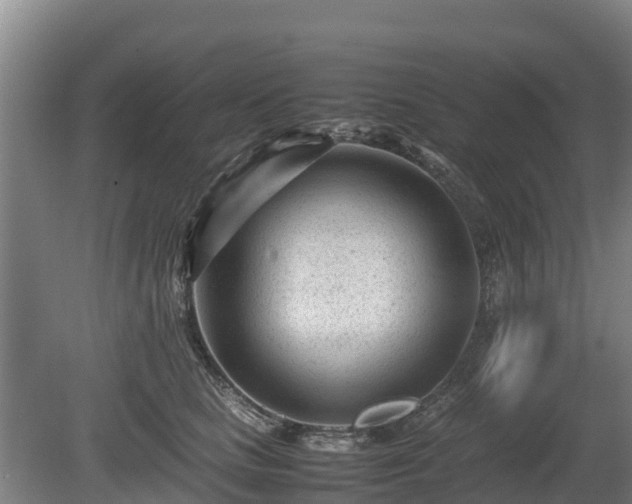 X0000080120661200612151714