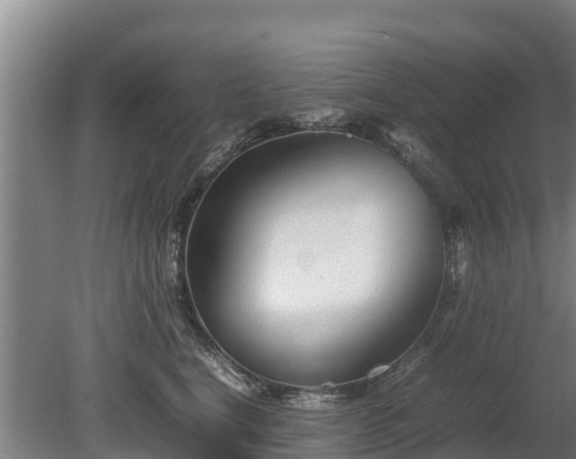 X0000080120664200612151714