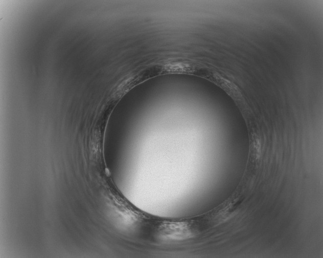 X0000080120665200612151714