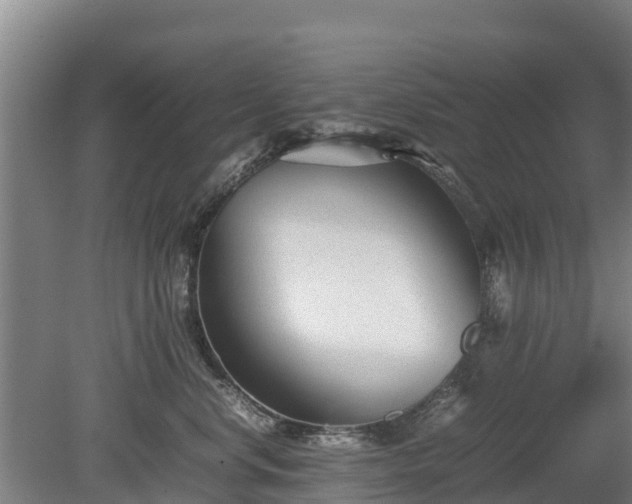 X0000080120668200612151714