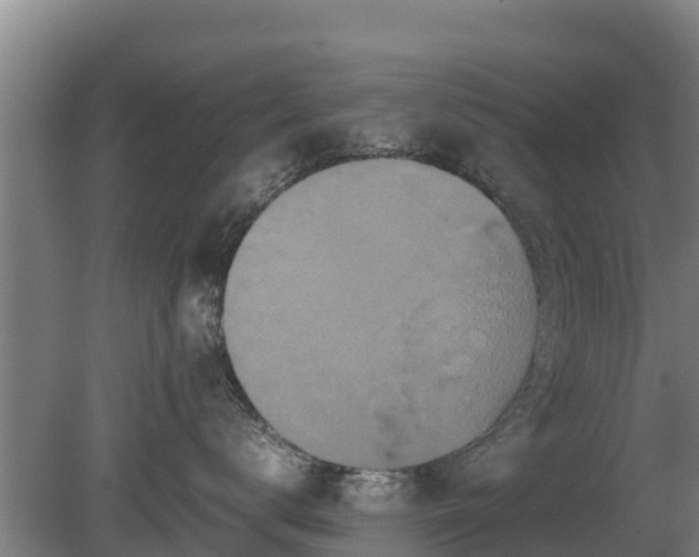 X0000080120672200612151714