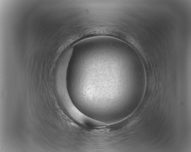 X0000080120673200612151713