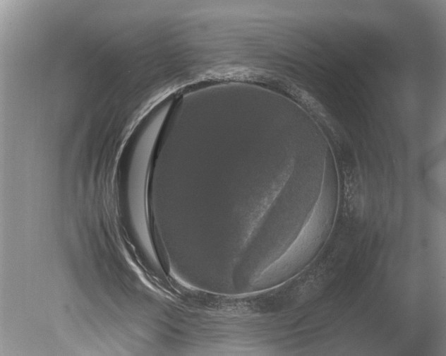 X0000080120674200612151713
