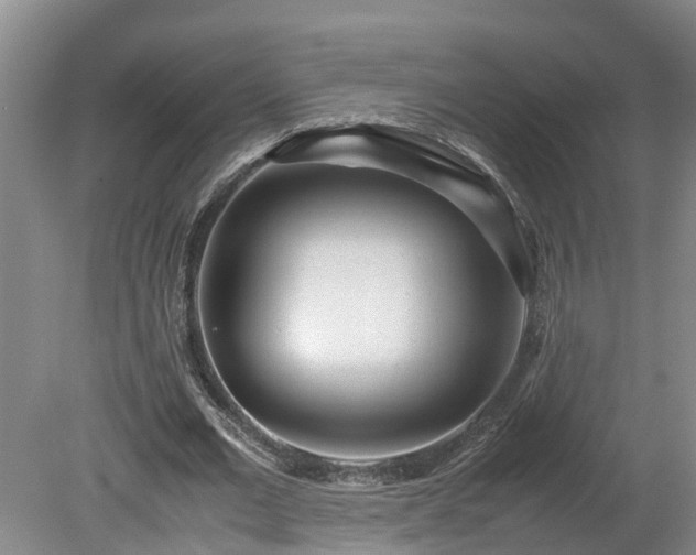 X0000080120677200612151713