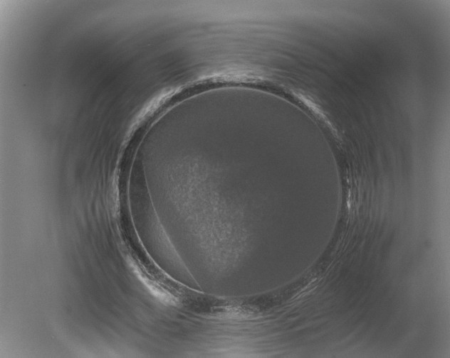X0000080120678200612151713