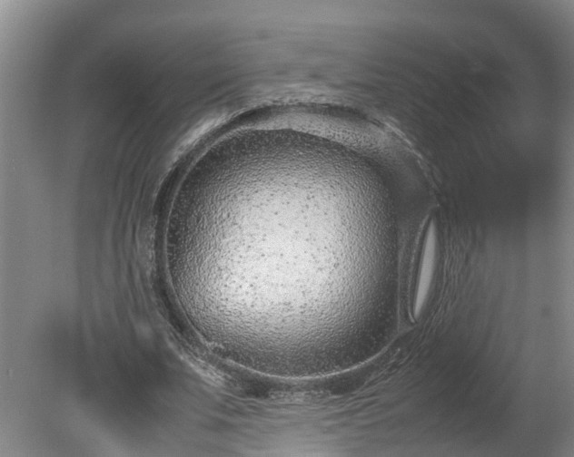 X0000080120679200612151713