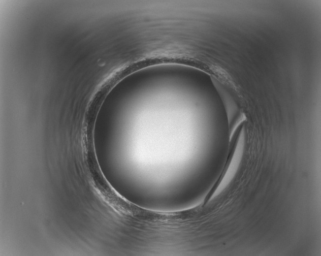 X0000080120680200612151713