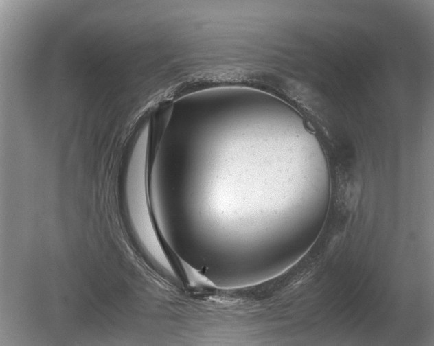 X0000080120681200612151713