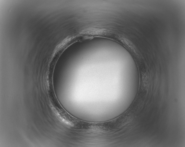 X0000080120682200612151713