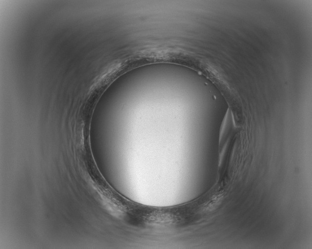 X0000080120685200612151713