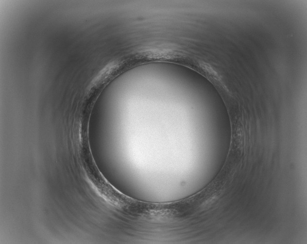 X0000080120686200612151713