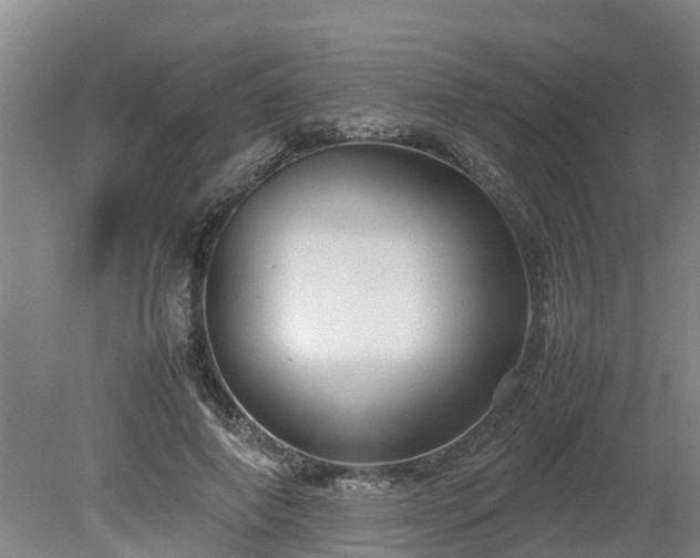 X0000080120690200612151713