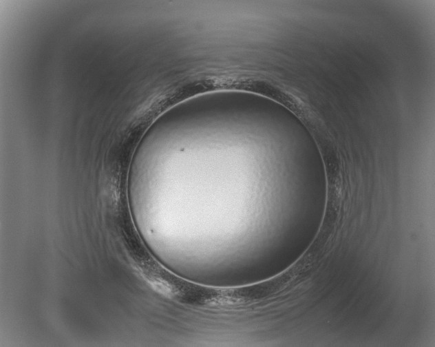 X0000080120691200612151713