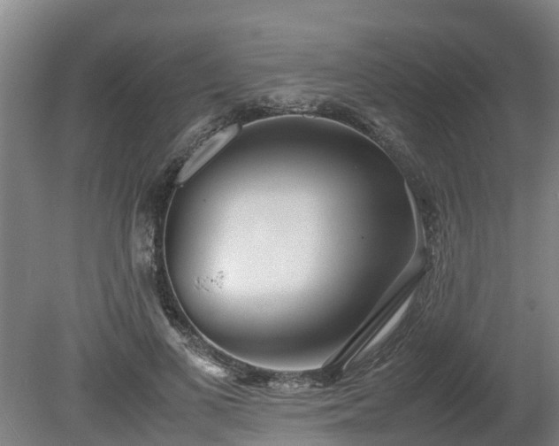 X0000080120693200612151713