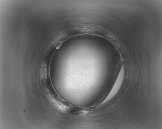 X0000080120696200612151713