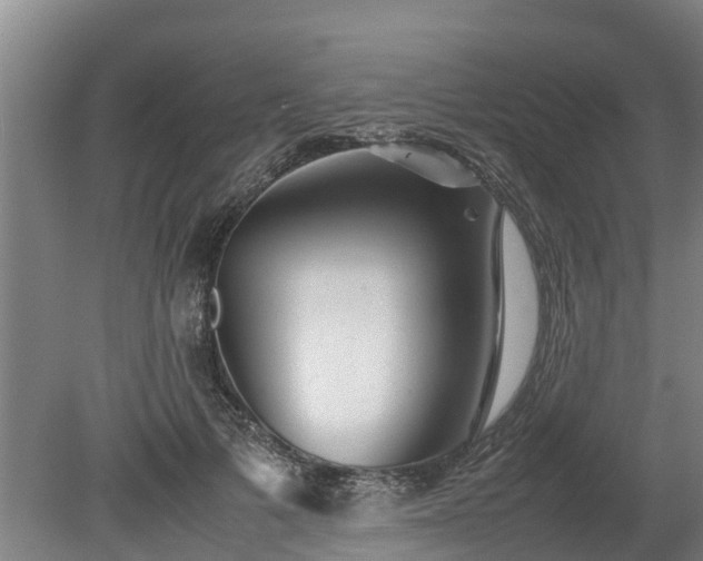 X0000080120697200612151713