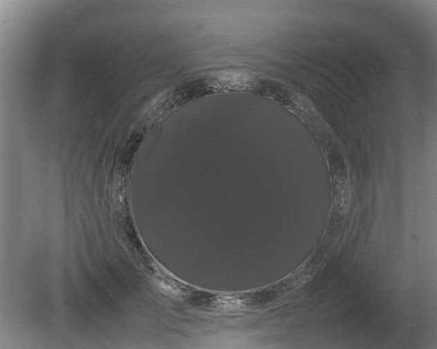 X0000080120701200612151713