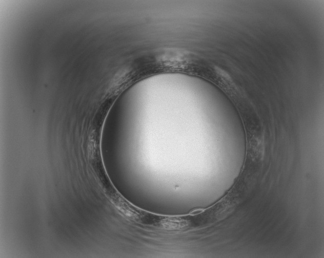 X0000080120707200612151713